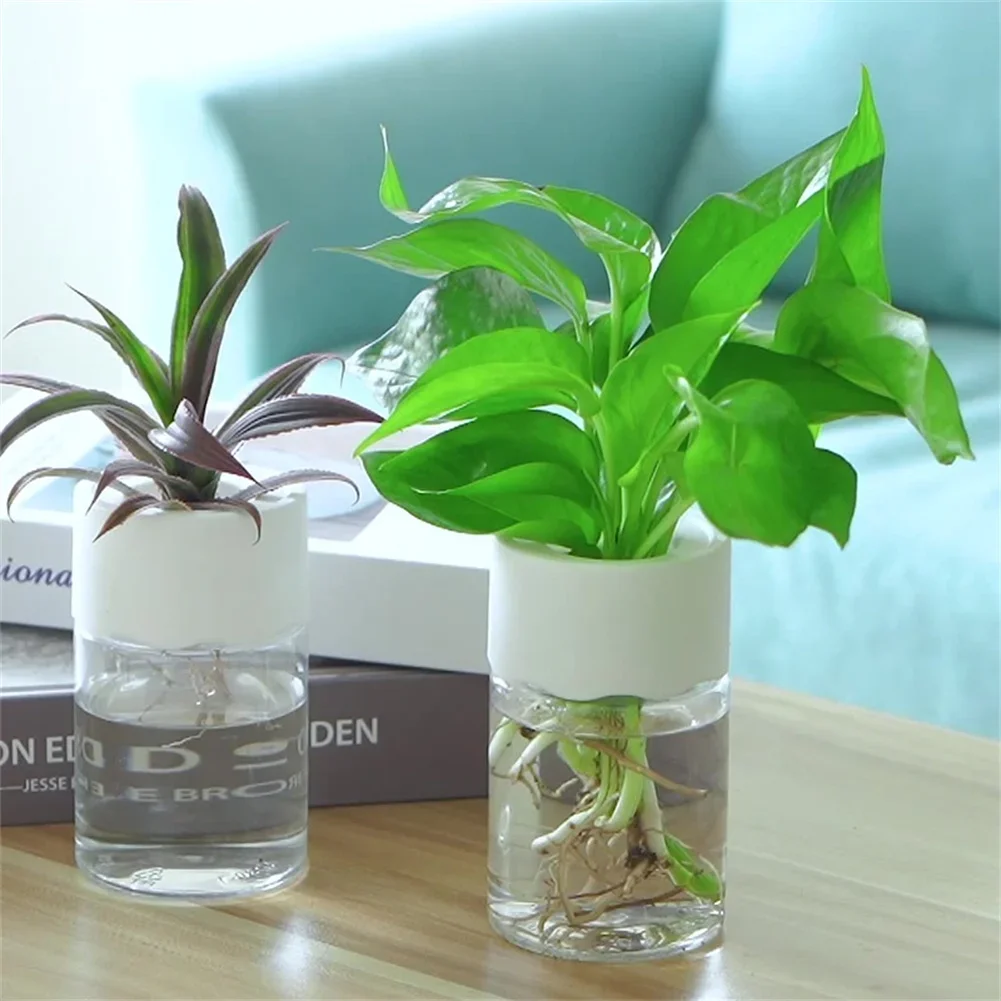 Aloe Vera Pot - กระถางปลูกดอกไม้ไฮโดรโปนิกส์ขนาดเล็ก โปร่งใส ไม่ใช้ดิน แจกันปลูกต้นไม้ ตกแต่งบ้าน กระถางต้นไม้แก้วเทียม