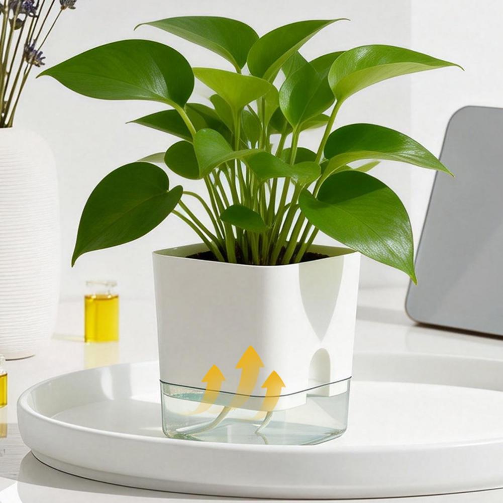 Aloe Vera Pot - กระถางดอกไม้รดน้ำอัตโนมัติ กระถางต้นไม้ในร่มพร้อมระบบระบายน้ำ กระถางปลูกต้นไม้แบบรดน้ำเองพร้อมโหมดระบายน้ำ