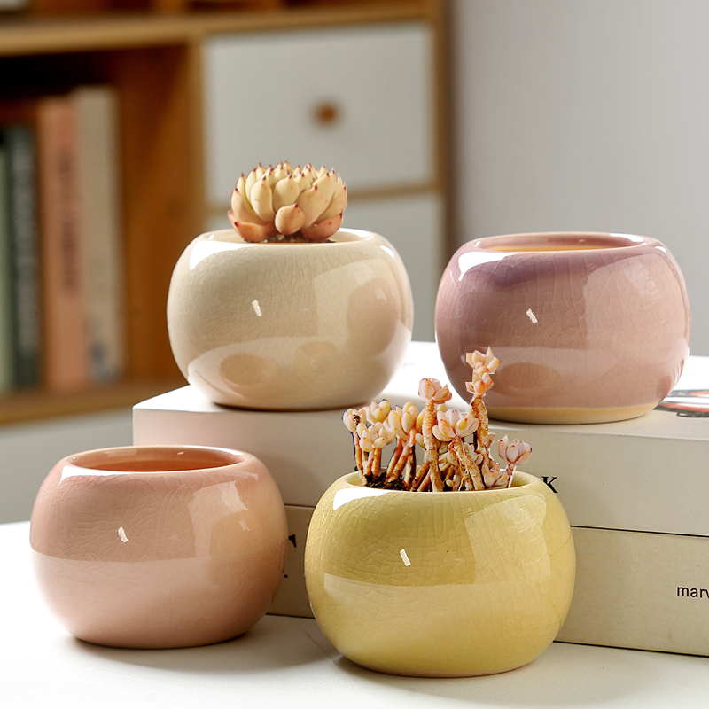 Aloe Vera Pot - กระถางดอกไม้ลายแตกน้ำแข็ง ขนาดเล็ก น่ารัก สีพื้น เรียบง่าย เซรามิก