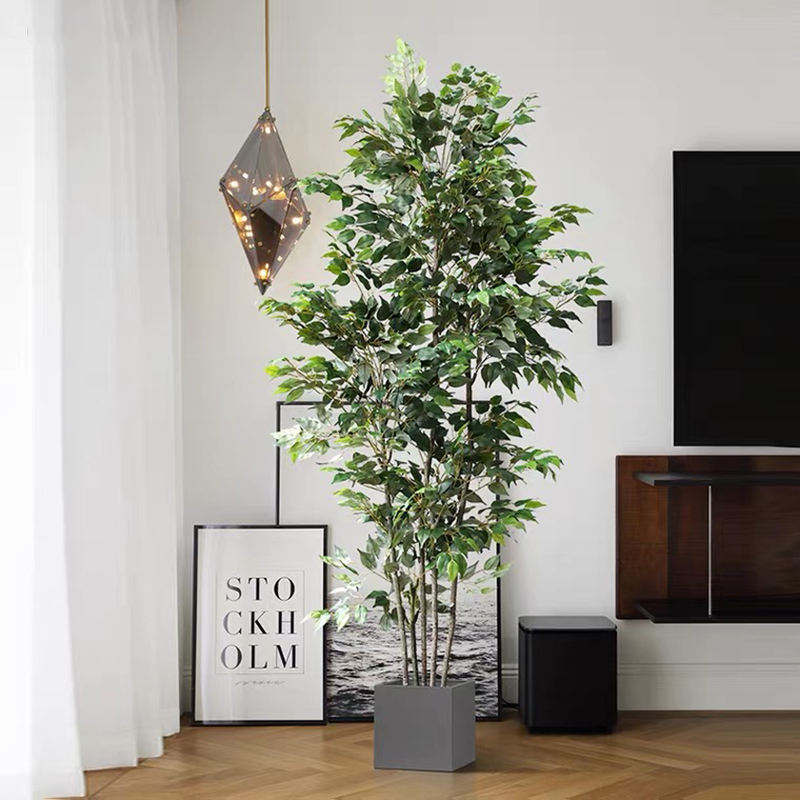 Dracaena Marginata - 70in ประดิษฐ์ Ficus Tree Faux ชั้นพืชพลาสติก