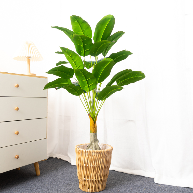 100ซม.24หัวประดิษฐ์กล้วยขนาดให - Dracaena Marginata บทวิจารณ์และราคา