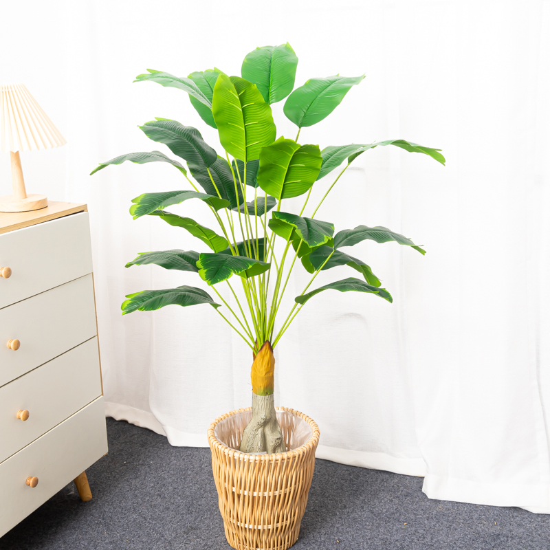 100ซม.24หัวประดิษฐ์กล้วยขนาดให - Dracaena Marginata บทวิจารณ์และราคา