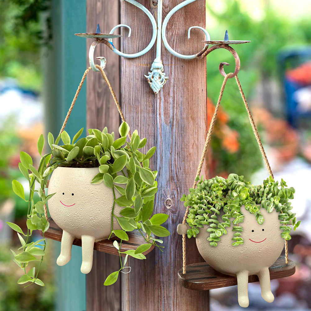 กระถางแขวนต้นไม้ กระถางต้นไม้แ - Echeveria Succulent บทวิจารณ์และราคา