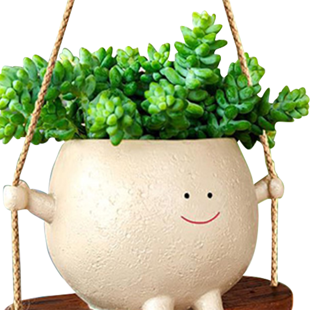 กระถางแขวนต้นไม้ กระถางต้นไม้แ - Echeveria Succulent บทวิจารณ์และราคา