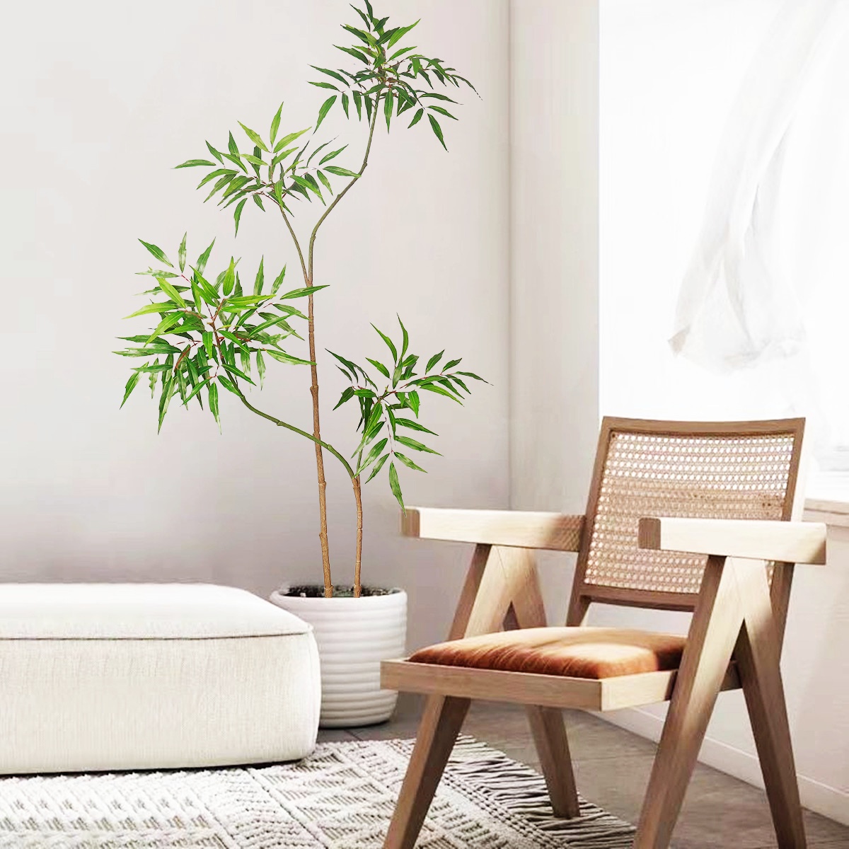 ต้นปาล์มปลอม pohon beringin เท - Dracaena Marginata บทวิจารณ์และราคา