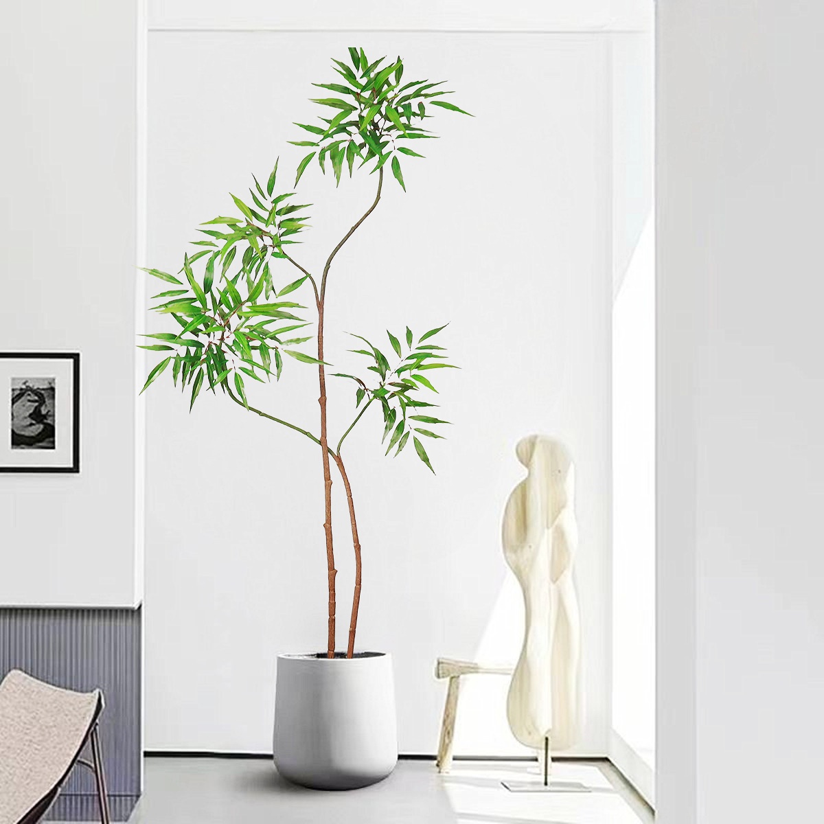 ต้นปาล์มปลอม pohon beringin เท - Dracaena Marginata บทวิจารณ์และราคา