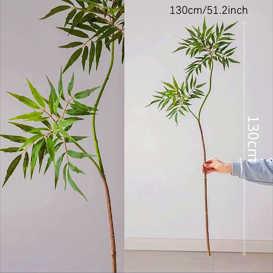 ต้นปาล์มปลอม pohon beringin เท - Dracaena Marginata บทวิจารณ์และราคา