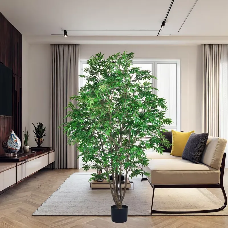 ต้นเมเปิ้ลสีเขียวปลอมแบบขายส่ง - Dracaena Marginata บทวิจารณ์และราคา