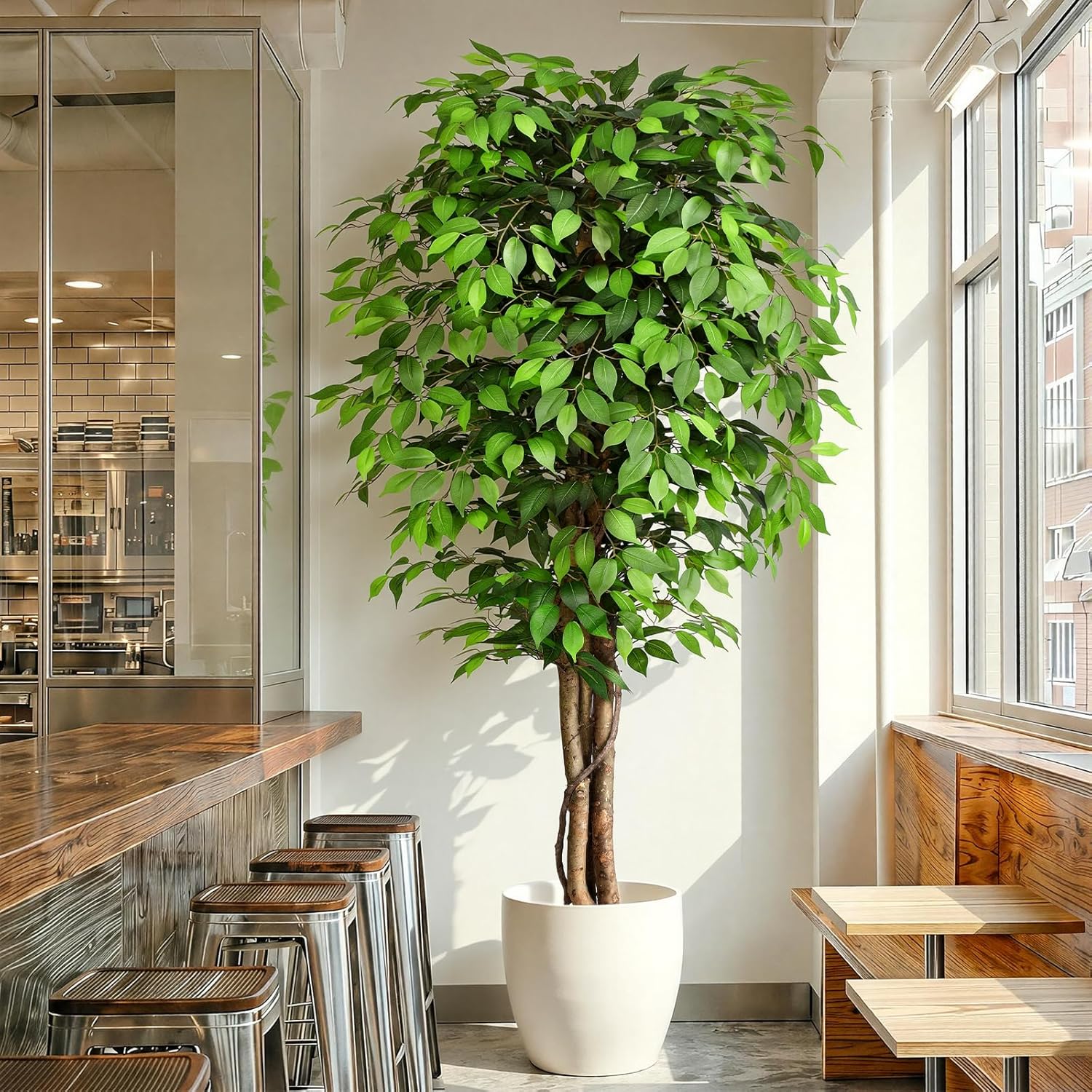 ต้นไทรประดิษฐ์เสมือนจริงพร้อมล - Dracaena Marginata บทวิจารณ์และราคา