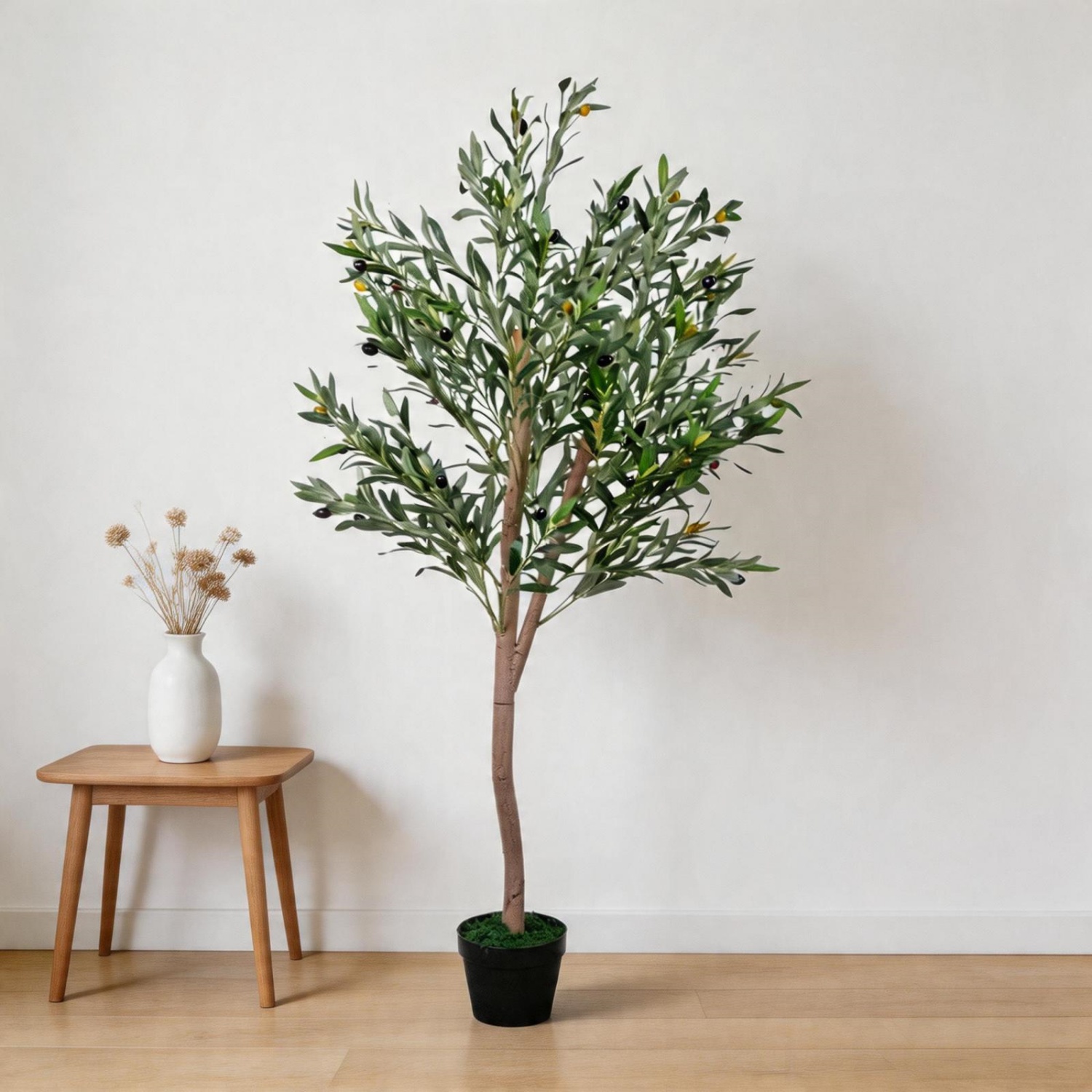 ต้นมะกอกเทียมขนาด 5 ฟุต ต้นมะก - Dracaena Marginata บทวิจารณ์และราคา