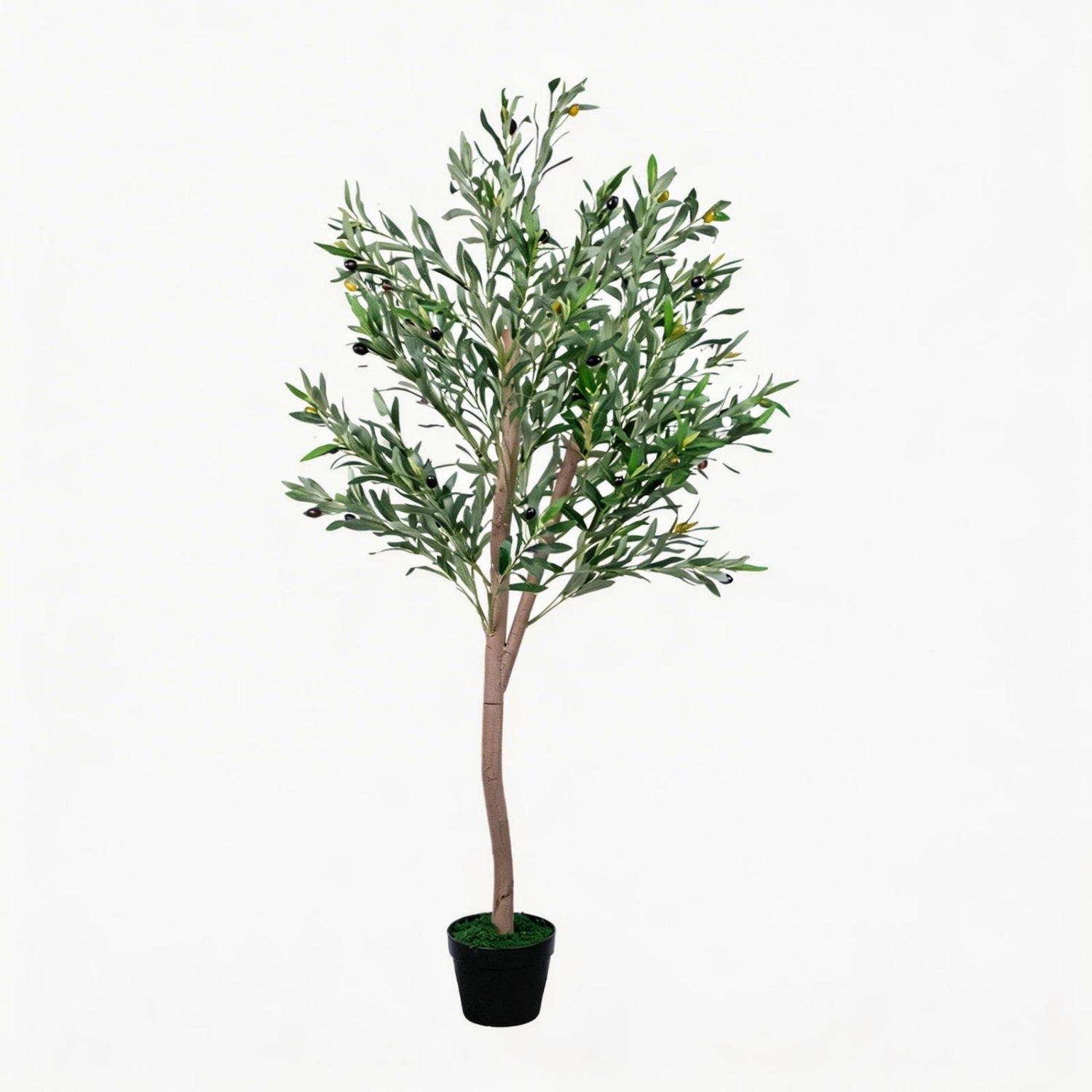 ต้นมะกอกเทียมขนาด 5 ฟุต ต้นมะก - Dracaena Marginata บทวิจารณ์และราคา