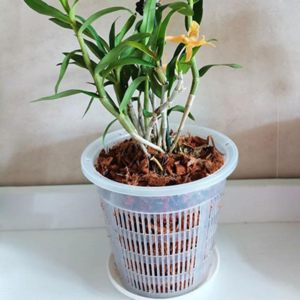 กระถางตาข่ายควบคุมราก โปร่งใส  - Aloe Vera Pot บทวิจารณ์และราคา