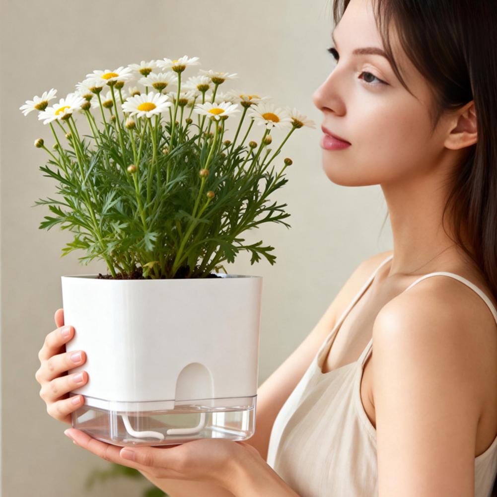 กระถางดอกไม้รดน้ำอัตโนมัติ กระ - Aloe Vera Pot บทวิจารณ์และราคา
