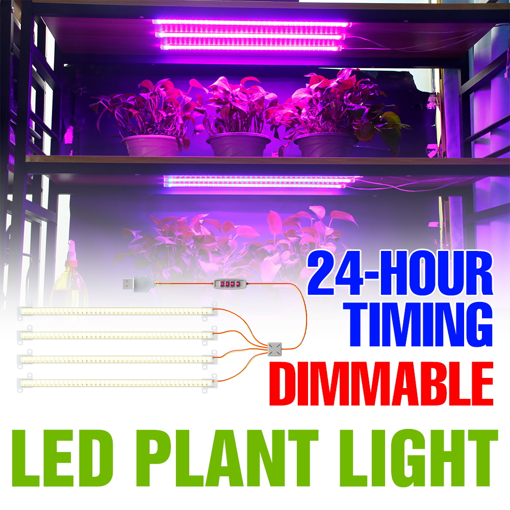ไฟ LED สำหรับปลูกต้นไม้ในร่มแบ - Echeveria Succulent บทวิจารณ์และราคา