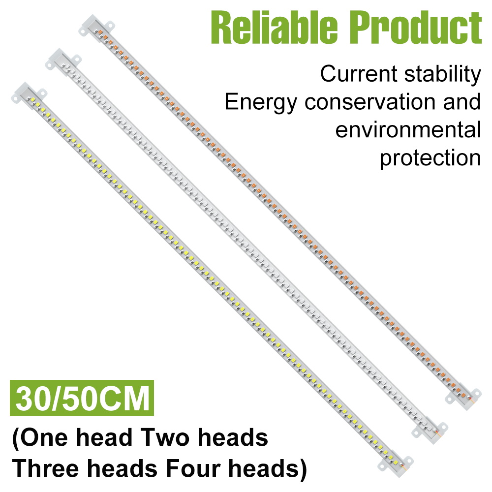 ไฟ LED สำหรับปลูกต้นไม้ในร่มแบ - Echeveria Succulent บทวิจารณ์และราคา