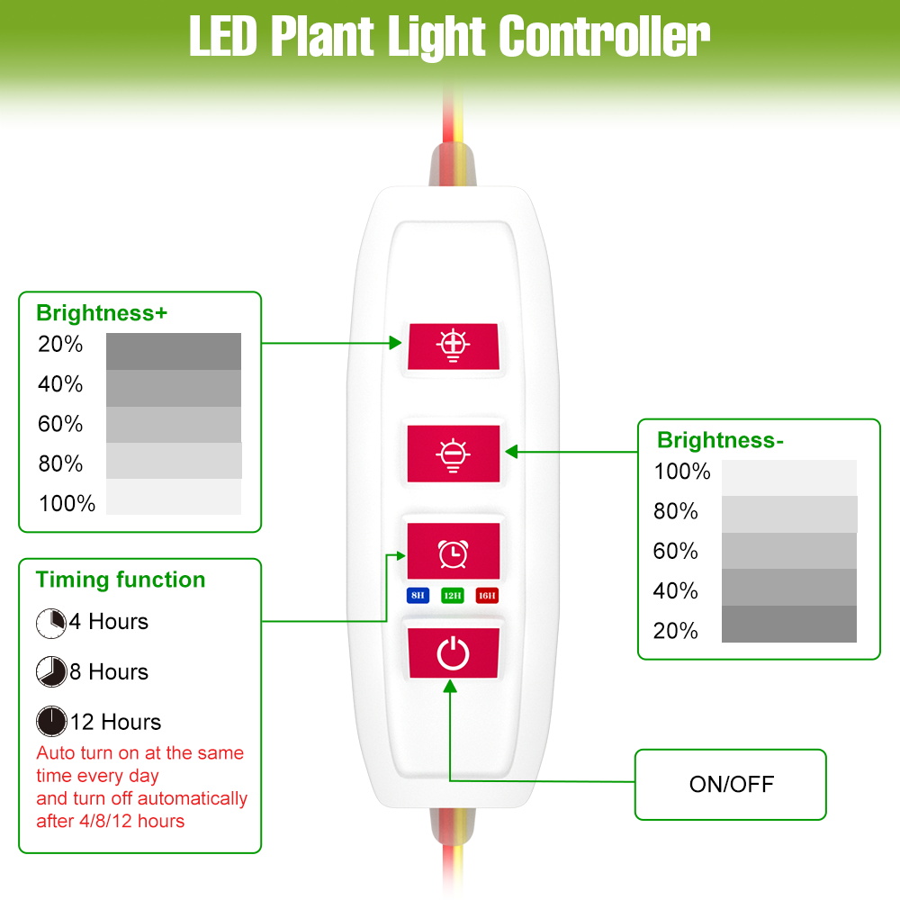 ไฟ LED สำหรับปลูกต้นไม้ในร่มแบ - Echeveria Succulent บทวิจารณ์และราคา