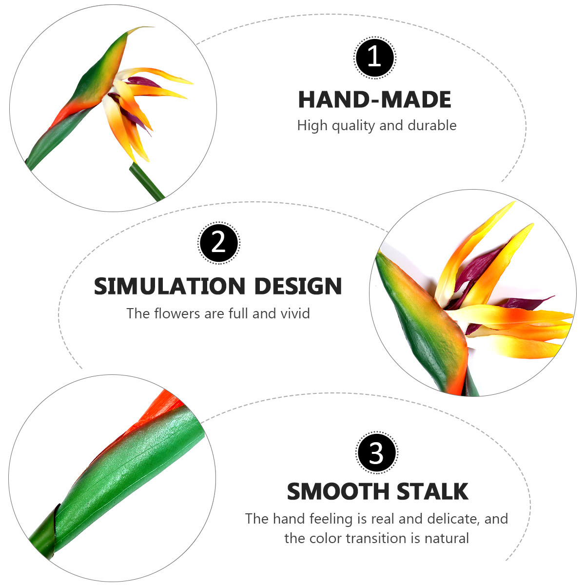 ดอกสเตรลิเซียเทียม (Faux Bird  - Bird Paradise Strelitzia บทวิจารณ์และราคา