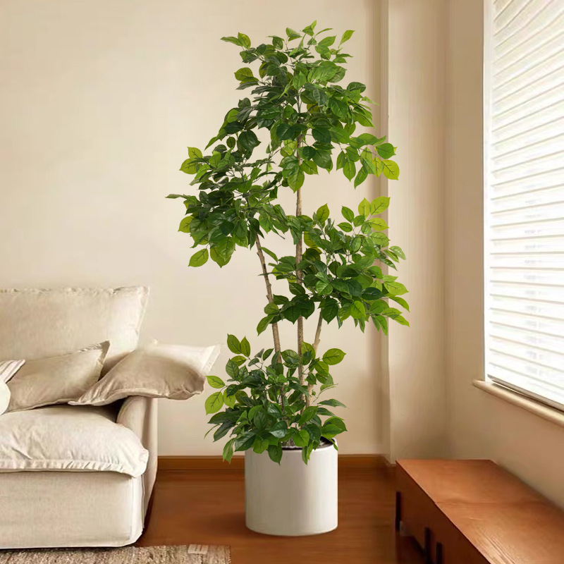 2-78in ขนาดใหญ่พืชปลอมประดิษฐ์ - Dracaena Marginata บทวิจารณ์และราคา