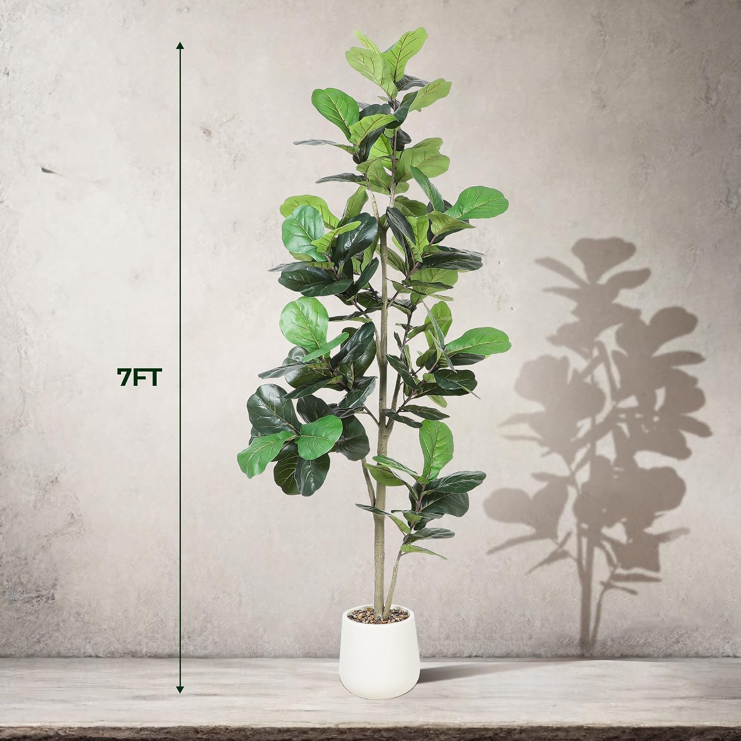 ต้นไม้ประดิษฐ์ฟิคัส ลีลาต้า ขน - Ficus Lyrata Tree บทวิจารณ์และราคา