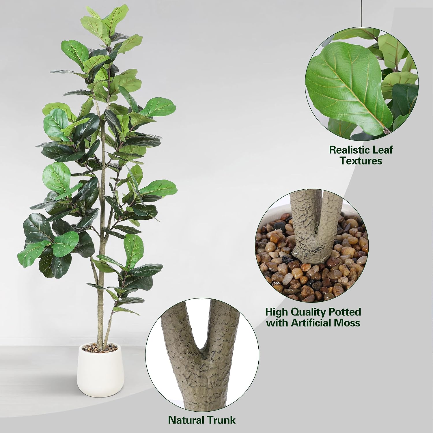 ต้นไม้ประดิษฐ์ฟิคัส ลีลาต้า ขน - Ficus Lyrata Tree บทวิจารณ์และราคา