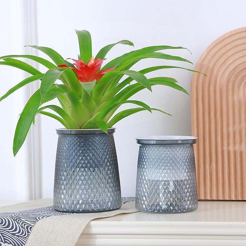 2024โปร่งใสรดน้ําด้วยตนเองดอกไ - Aloe Vera Pot บทวิจารณ์และราคา