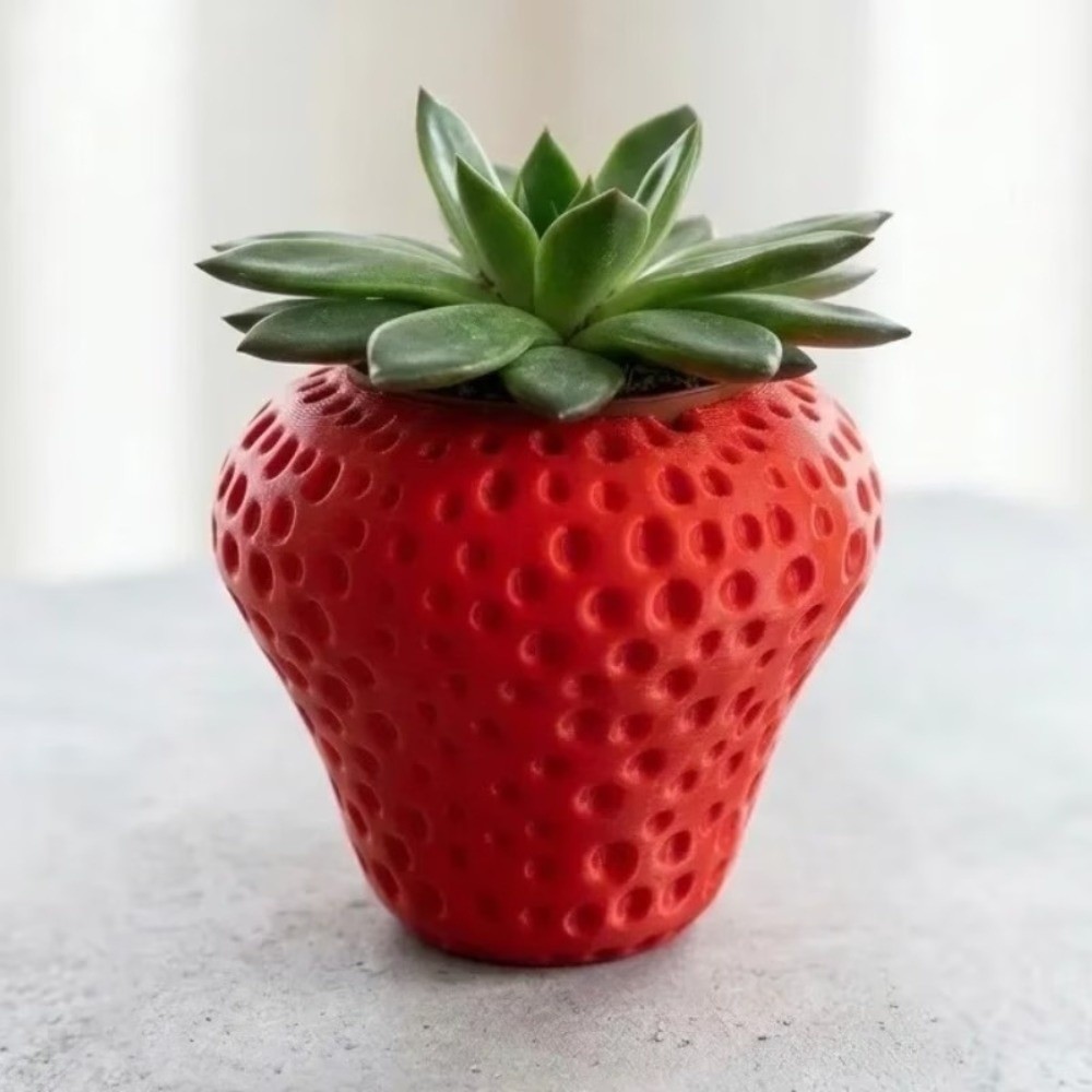 กระถางดอกไม้พลาสติกพิมพ์ 3 มิต - Echeveria Succulent บทวิจารณ์และราคา