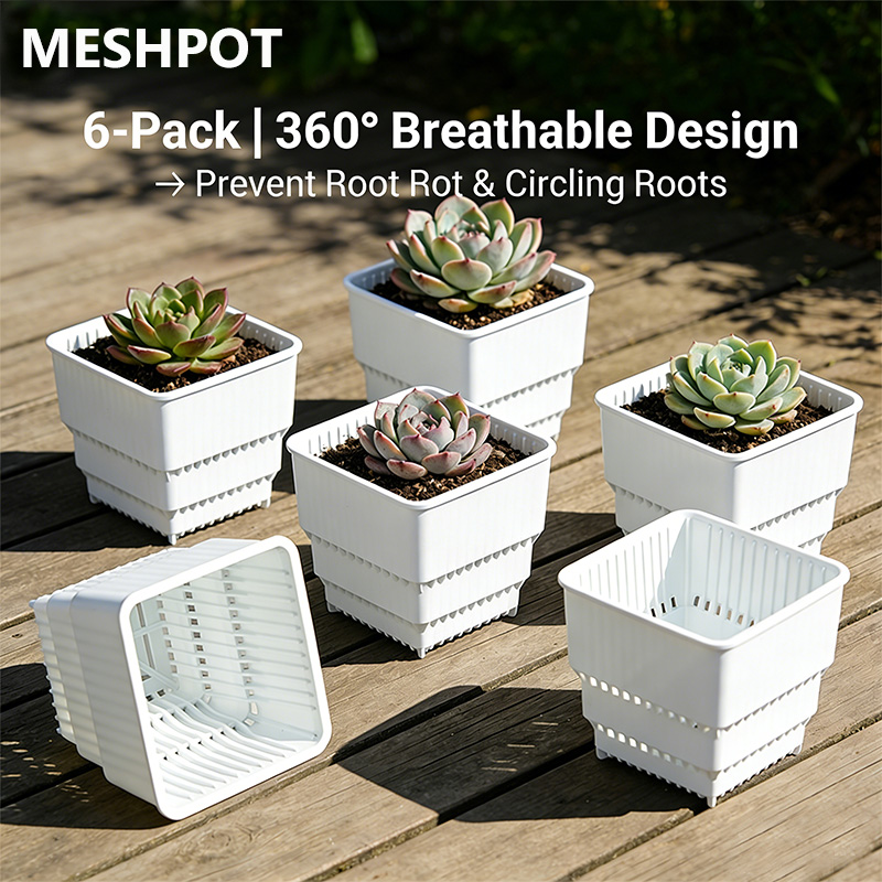 MESHPOT ชุดกระถางทรงสี่เหลี่ยม - Echeveria Succulent บทวิจารณ์และราคา