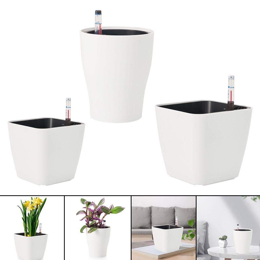 กระถางต้นไม้พลาสติกสีขาวแบบรดน - Aloe Vera Pot บทวิจารณ์และราคา