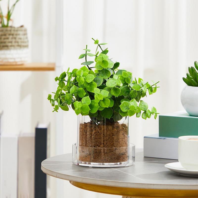 ล้างกระถางต้นไม้ระบายน้ําล้าง  - Aloe Vera Pot บทวิจารณ์และราคา