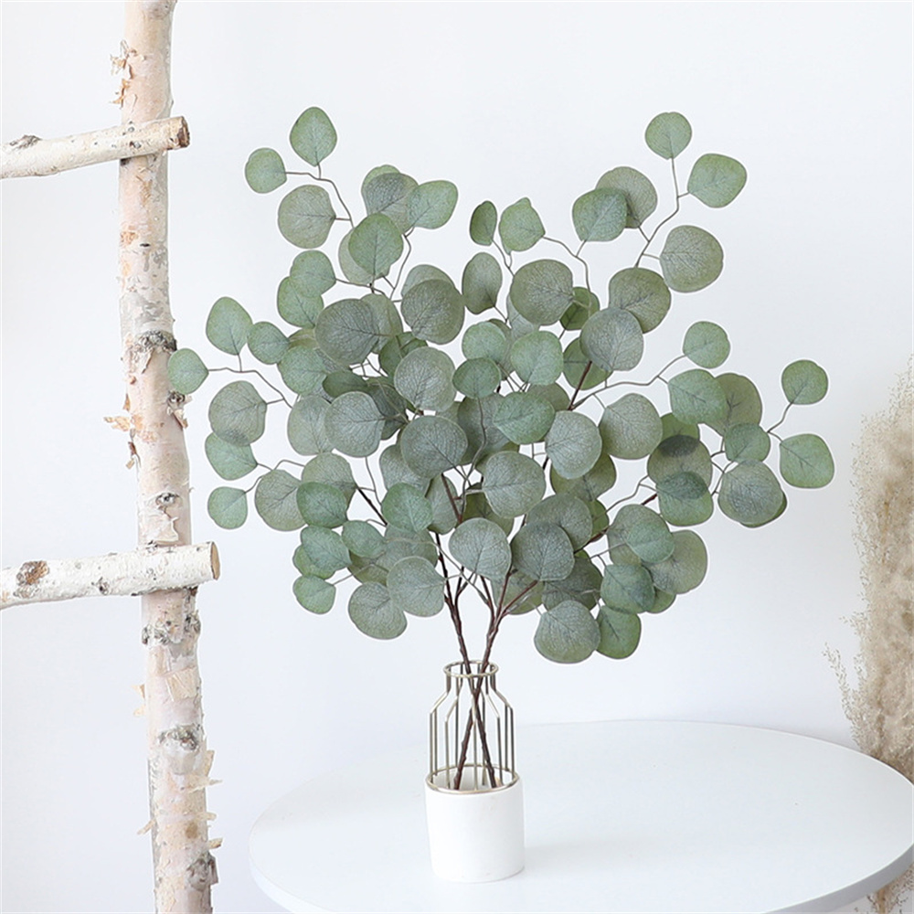 แจกันตกแต่งคริสต์มาสใบยูคาลิปต - Dracaena Marginata บทวิจารณ์และราคา