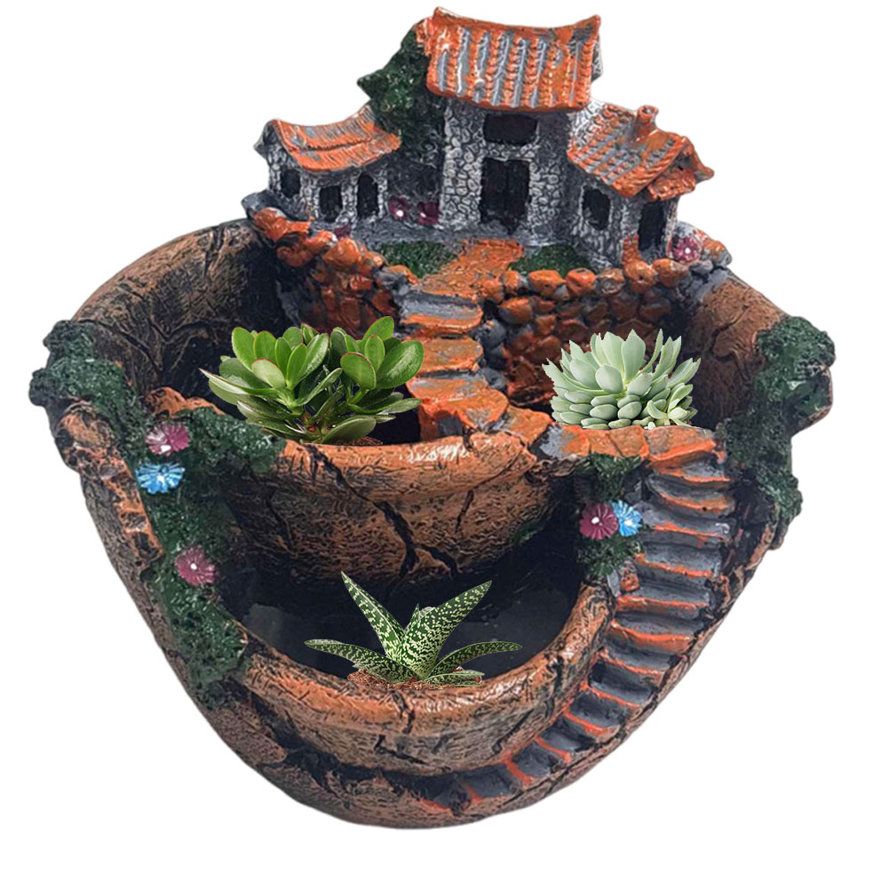 กระถางต้นไม้แบบวินเทจ หลายช่อง - Echeveria Succulent บทวิจารณ์และราคา