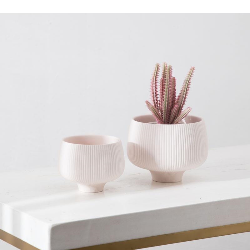 ลายหลากสีแจกันเซรามิคกระถางต้น - Aloe Vera Pot บทวิจารณ์และราคา