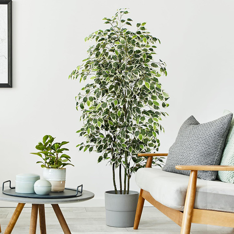 70in ประดิษฐ์ Ficus Tree Faux  - Dracaena Marginata บทวิจารณ์และราคา
