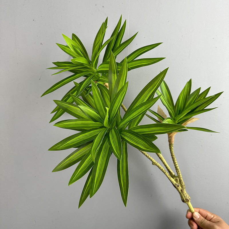 ต้นไม้ประดิษฐ์ 3 หัว ดอกลิลลี่ - Dracaena Marginata บทวิจารณ์และราคา