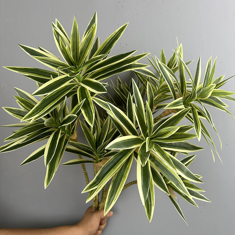 ต้นไม้ประดิษฐ์ 3 หัว ดอกลิลลี่ - Dracaena Marginata บทวิจารณ์และราคา