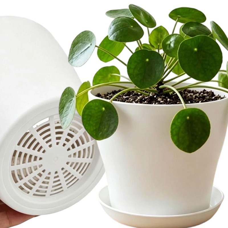 ชุดกระถางต้นไม้พร้อมรูระบายน้ำ - Aloe Vera Pot บทวิจารณ์และราคา